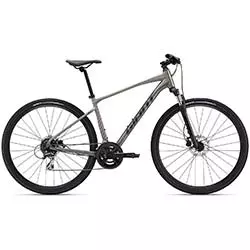 Trekking bicicleta Roam 3 disc 2024 metallic