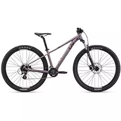 MTB kerékpár Liv Tempt 29 3 2024 purple ash női