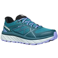 Shoes Spin Infinity GTX deep blue/violet women's