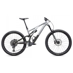 Test mountain bike Stumpjumper EVO Elite Alloy S5 2024 gloss silver dust/black tint