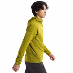 Hoodie Arcteryx Delta