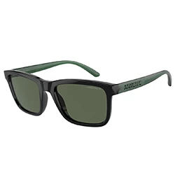 Polarized sunglasses Lebowl black/dark green