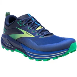 Shoes  Cascadia 16 blue/surf the web/green