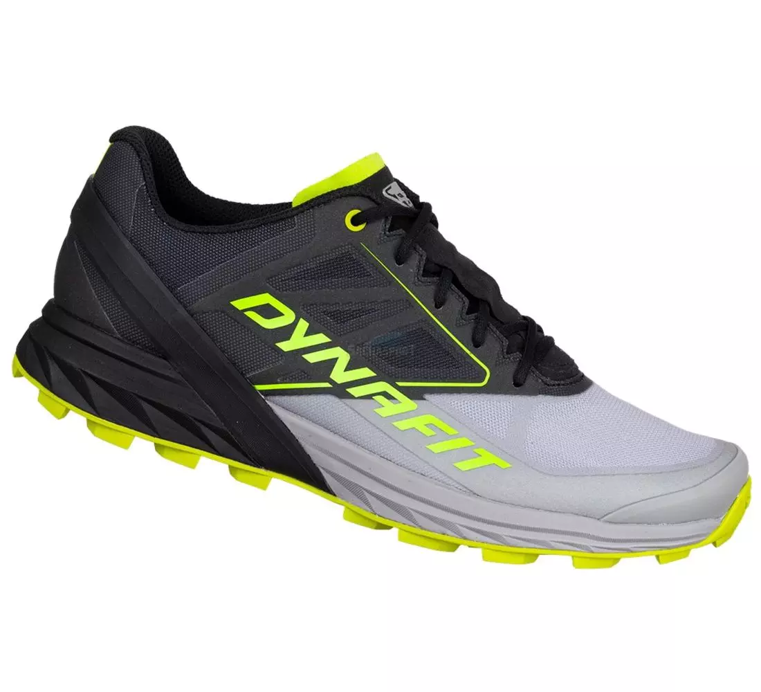 Trail Running Shoes Dynafit Alpine