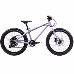 Otroško kolo Seeker 20" 2025 violet haze