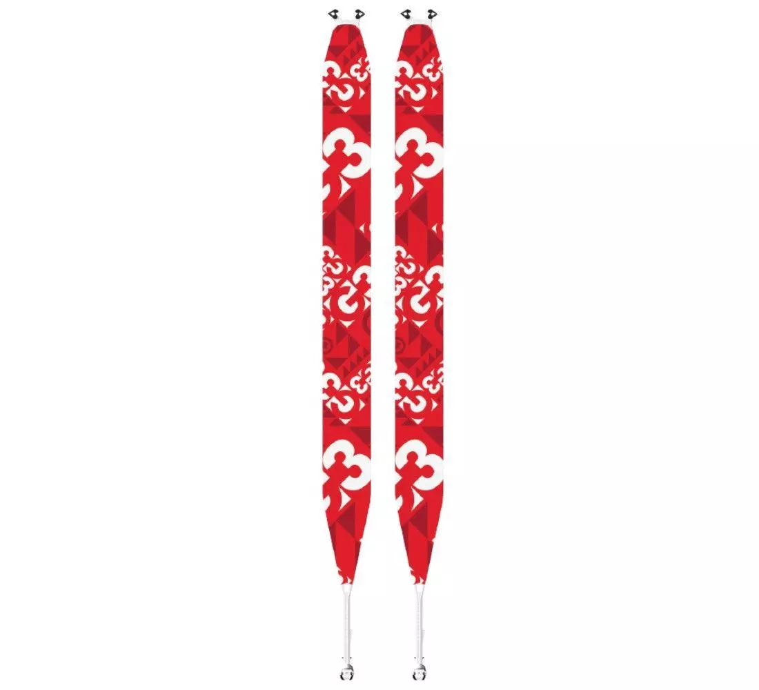 Skis set Ripstick 96 + bindings Marker Kingpin 13 + skins G3