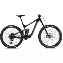 Mountain bike Reign Advanced Pro 29 2 2022 panther