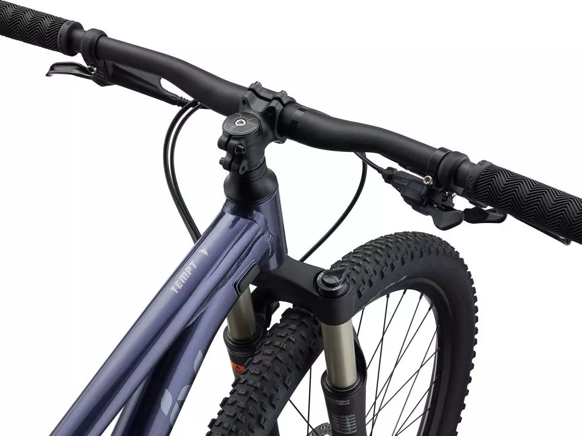 MTB bicicleta Giant Liv Tempt 29 1