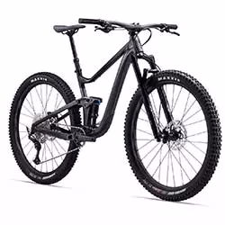 Giant Bicicletta MTB Trance 2