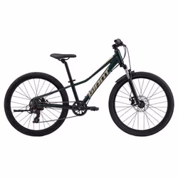 Bicicletta da bambino Talon 24'' Disc 2025 trekking green
