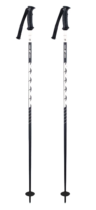 Test ski poles Power Aluminium black 2024
