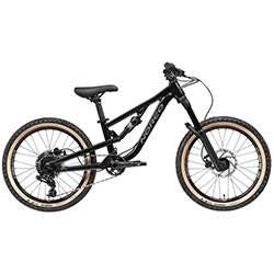 Bicicleta copii Fluid FS 2.2 20\"