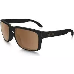 Sunglasses Holbrook Prizm Polarized 9102-D755