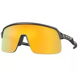 Sunglasses Sutro Lite matte carbon/prizm 24k 9463-1339