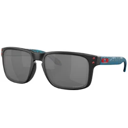 Sunglasses Oakley Holbrook matte black/prizm black 9102-Y255