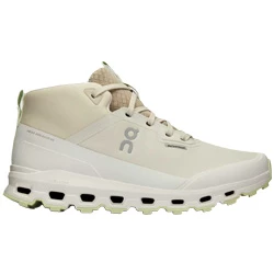 Shoes On Cloudroam WTP ice/limelight women
