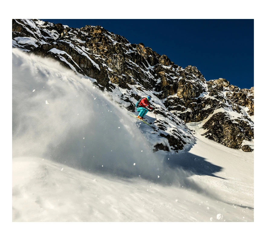 Ski Bindings Plum Summit Stopper