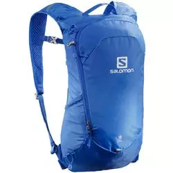 s for sale online 2020 Salomon QST 30 Citronelle Backpack 