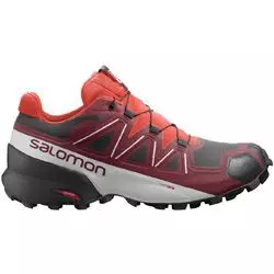 Men's trail running shoes Salomon Speedcross 5 GTX | Vital
