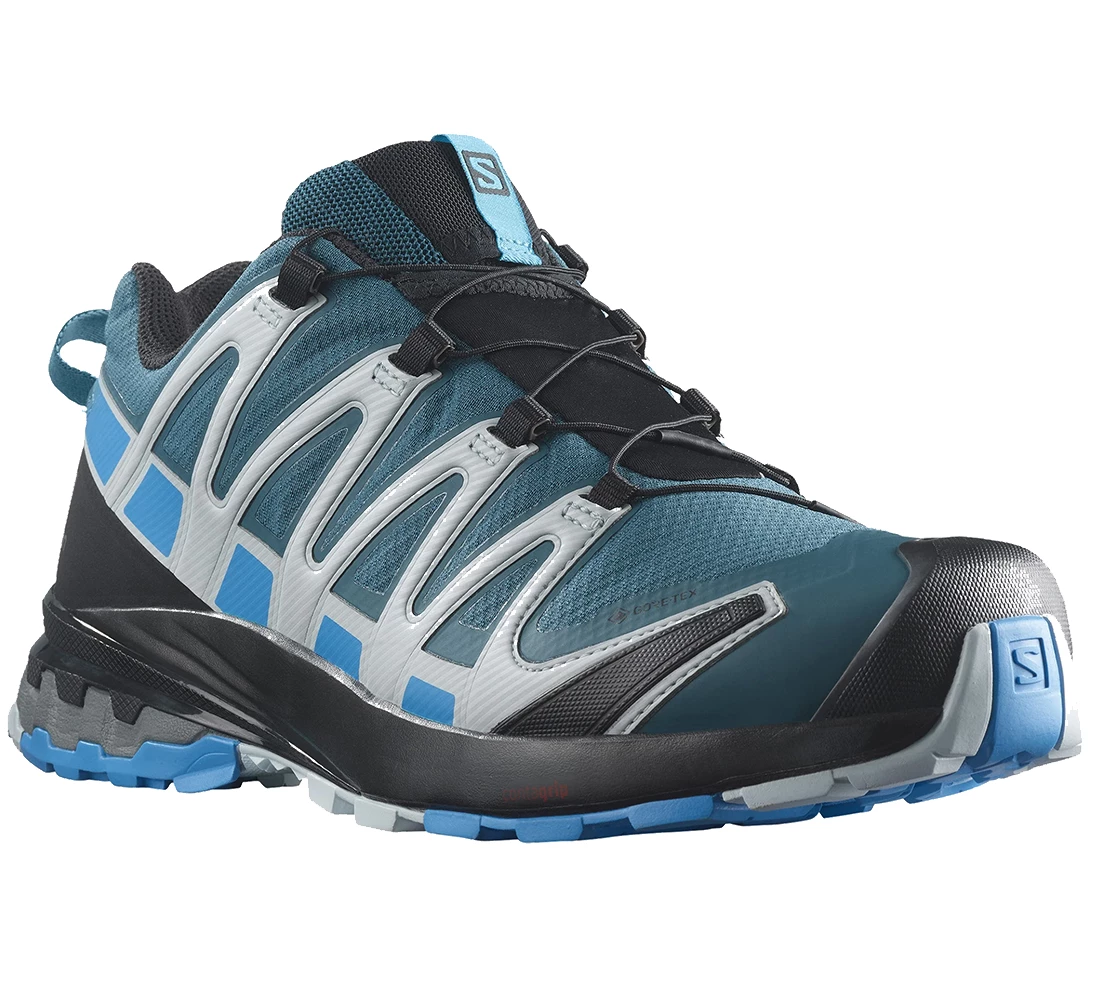 trigger radium You will get better Trail Running Shoes Salomon XA Pro 3D V8 GTX | Shop Extreme Vital