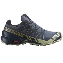 Shoes Speedcross 6 GTX grisaille/carbon/tea