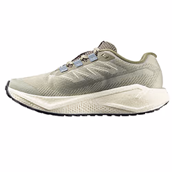 Running shoes Salomon Aero Blaze 3 GRVL