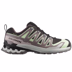 Shoes XA Pro 3D V9 GTX black/patina green/gray violet women's