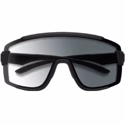 Sunglasses Smith Wildcat