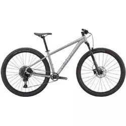 MTB kerékpár Rockhopper Expert 29 2023 silver dust/black holo női