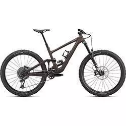 Mountain bike Enduro Expert 29 2023 satin doppio/sand