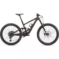 Bicicletta MTB Enduro Expert 29 2023 satin doppio/sand