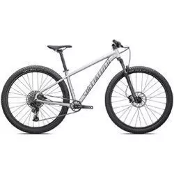 MTB kerékpár Rockhopper Expert 27.5 2023 silver dust nöi