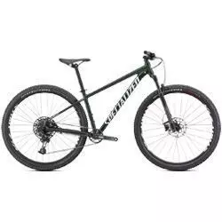 MTB kerékpár Rockhopper Expert 29 2023 oak green