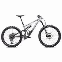 Gorsko kolo Stumpjumper EVO Elite Alloy gloss silver dust/black tint