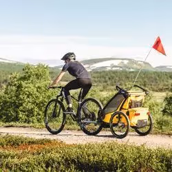 Kid trailer Thule Chariot Sport 1